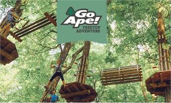 Go Ape Treetop Adventure Zipline and More